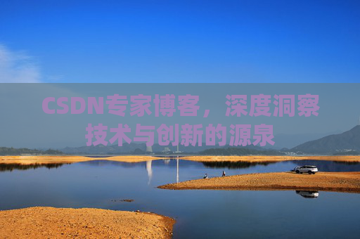 CSDN专家博客，深度洞察技术与创新的源泉